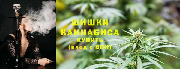 мет Пестово