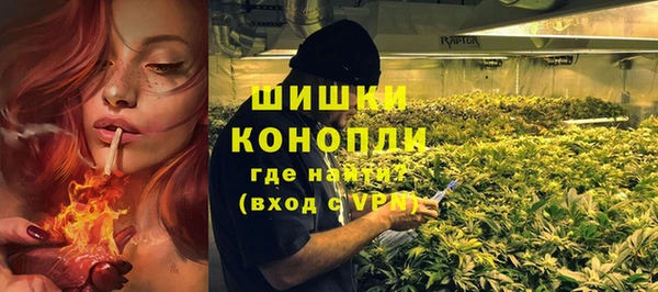 трава Пересвет