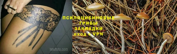 меф Переславль-Залесский