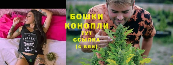 трава Пересвет